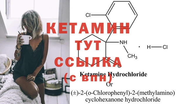 шишки Богородицк
