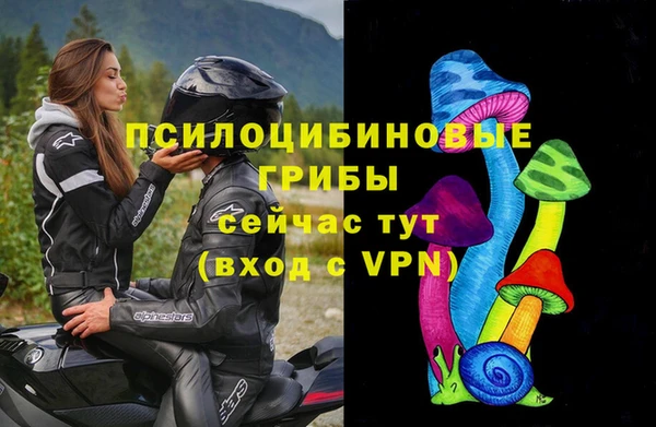 героин Богданович