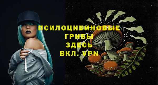 героин Богданович