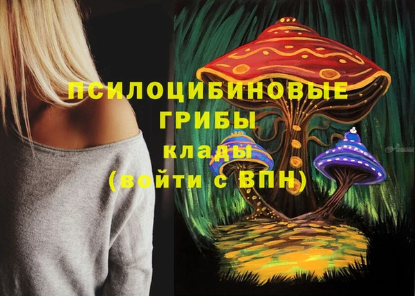 героин Богданович