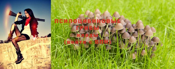 шишки Богородицк