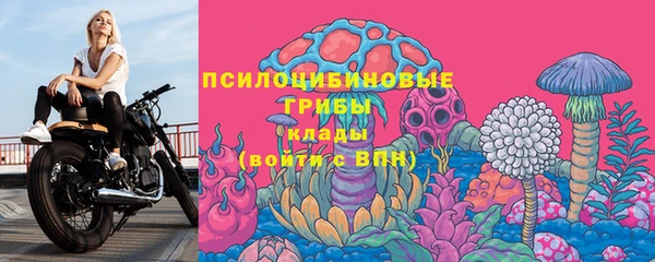 шишки Богородицк