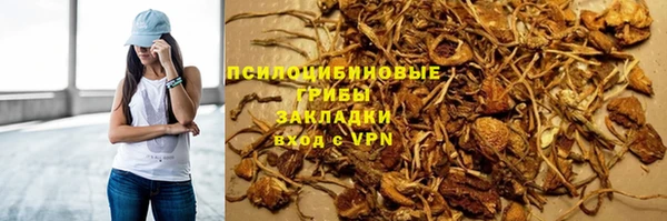 шишки Богородицк