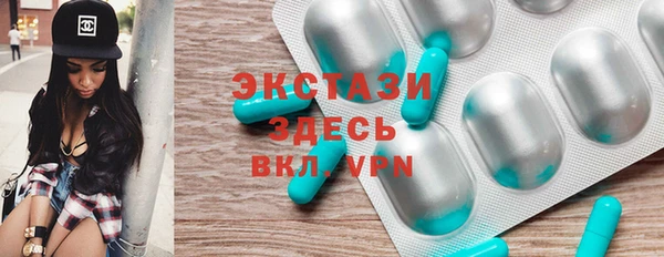 шишки Богородицк